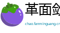 革面敛手网